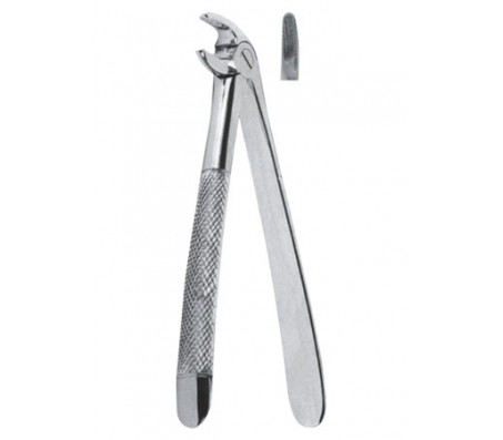 Extracting Forceps